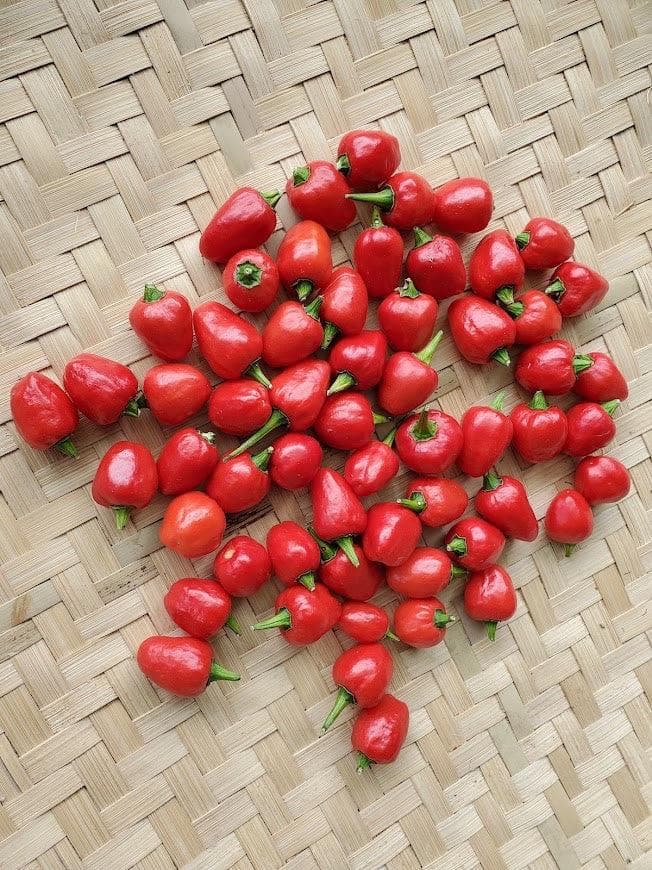 What Is Dalle Khursani?